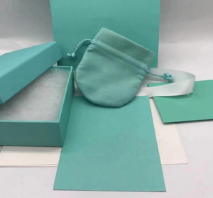 Brand Style Jewelry Mint Color Box Set